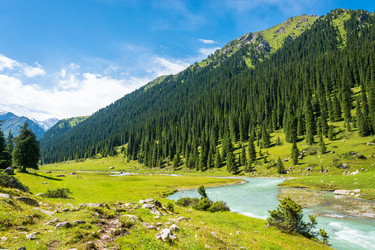 Similar image 13064568