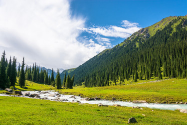 Similar image 13064569