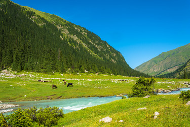 Similar image 13064570