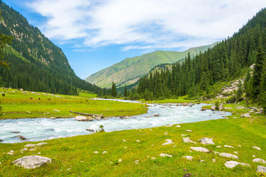 Similar image 13064572