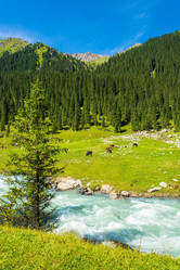 Similar image 13064588