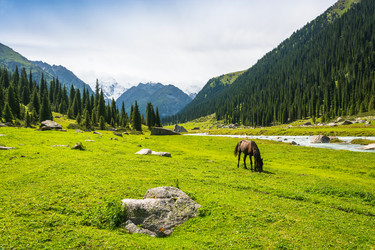 Similar image 13064603