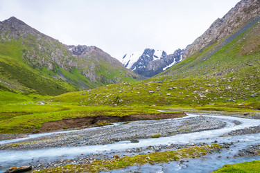 Similar image 13064606