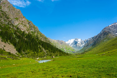 Similar image 13064607