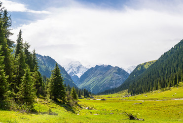 Similar image 13064633