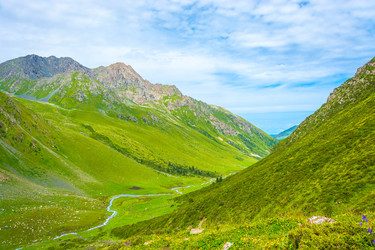 Similar image 13064637