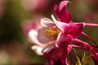 Similar image 13051903