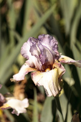 Similar image 13051905