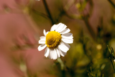 Similar image 13051960