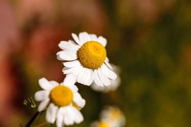 Similar image 13051961