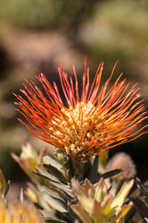 Similar image 13052043