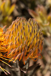 Similar image 13052044