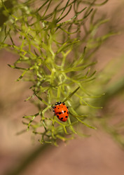 Similar image 13052077