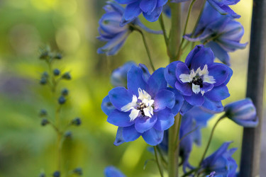 Similar image 13052078