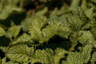 Similar image 13052115