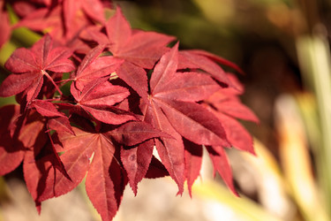 Similar image 13052155