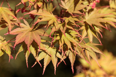 Similar image 13052156