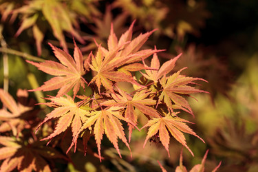 Similar image 13052157