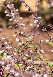 Similar image 13052175