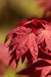 Similar image 13051274