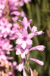 Similar image 13051794