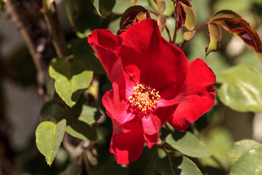 Similar image 13051795