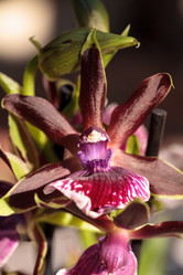 Similar image 13051298