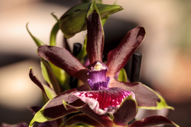 Similar image 13051315