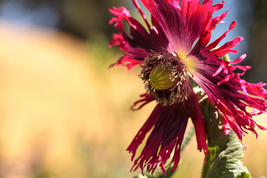 Similar image 13051351