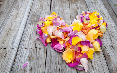 Similar image 13051375