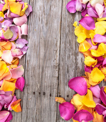 Similar image 13051811