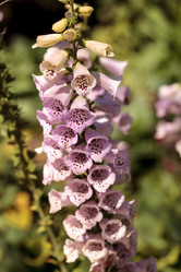 Similar image 13051830