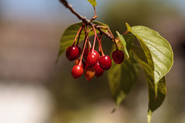 Similar image 13051495