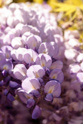 Similar image 13051553