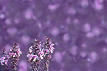 Similar image 13045261