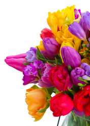 Similar image 13023567