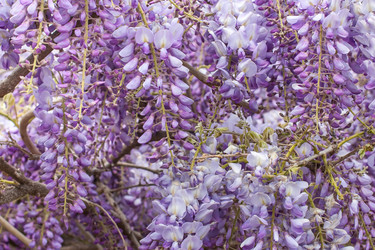 Similar image 13061565