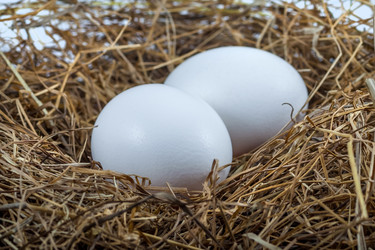 Similar image 13061568