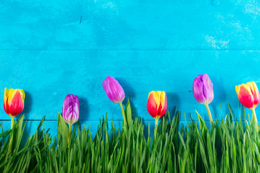 Similar image 13038926