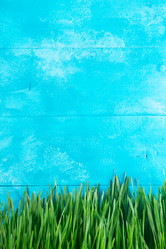 Similar image 13038967