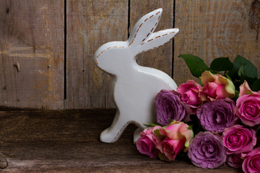 Similar image 13046187