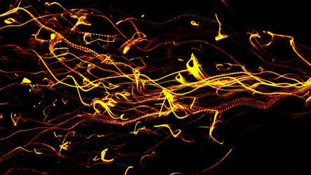 Similar image 13042860