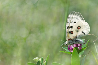 Similar image 13045102