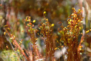 Similar image 13045154