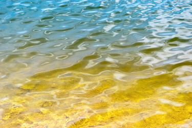 Similar image 13045247