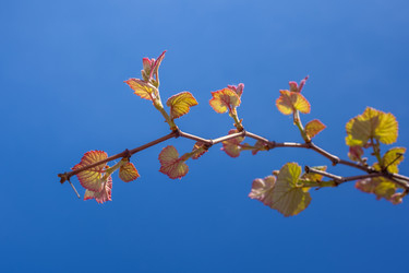 Similar image 13061570