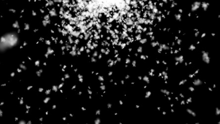 Similar image 13042792