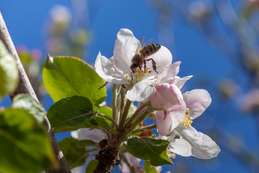 Similar image 13062094