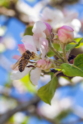 Similar image 13062095