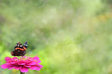 Similar image 13045543